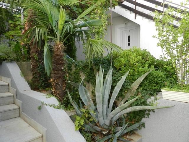 Ana Apartment *